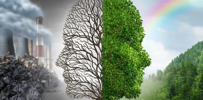 نقش عوامل اجتماعی در حفظ محیط زیست