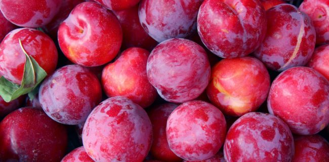 چهارشنبه جشنواره آلو در چهارباغ برگزار می‌شود