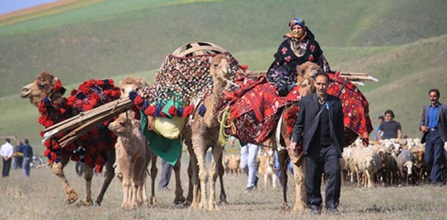 البرز در قاب نمایشگاه توانمندی‌های روستایی و عشایری