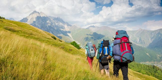 پیاده روی در طبیعت ذهن را تقویت می کند پیاده روی در طبیعت ذهن را تقویت می کند