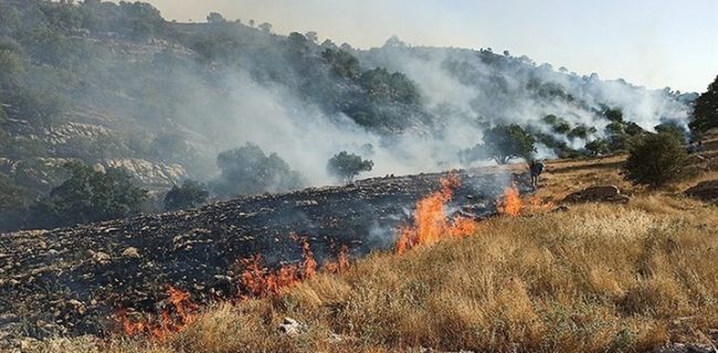 آتش سوزی مراتع طالقان مهار شد آتش سوزی مراتع طالقان مهار شد